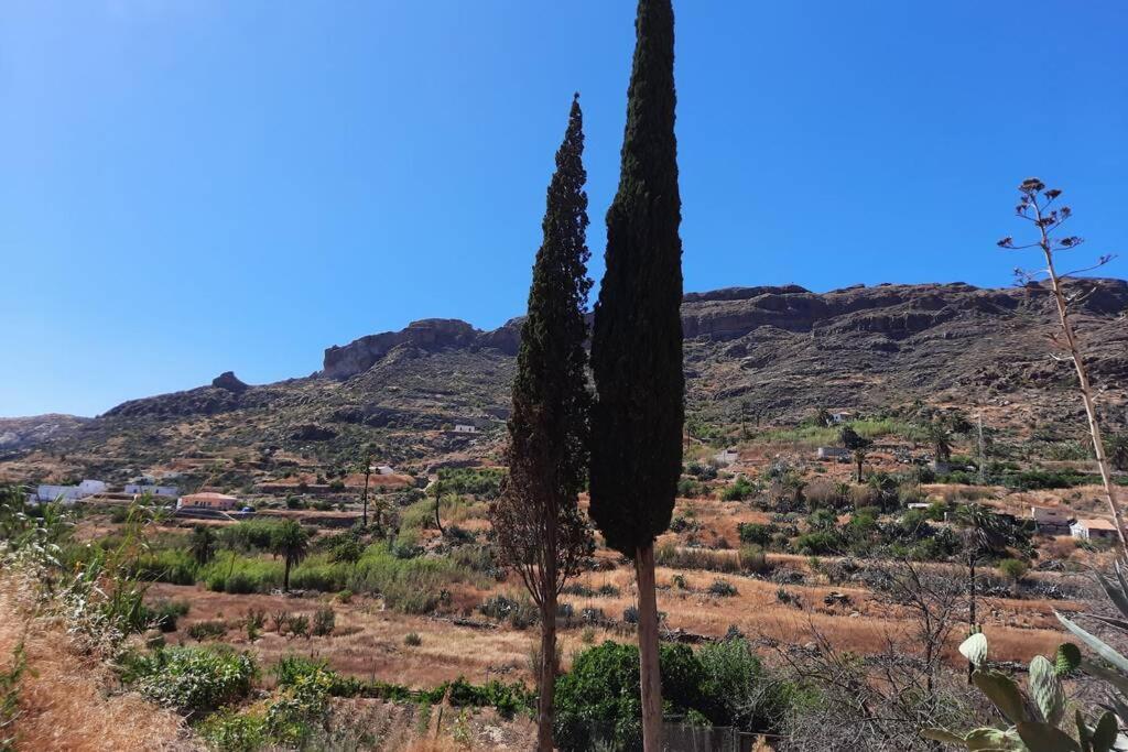 Casa Rural Los Cipreses. Cercados De Arana San Bartolome Bagian luar foto