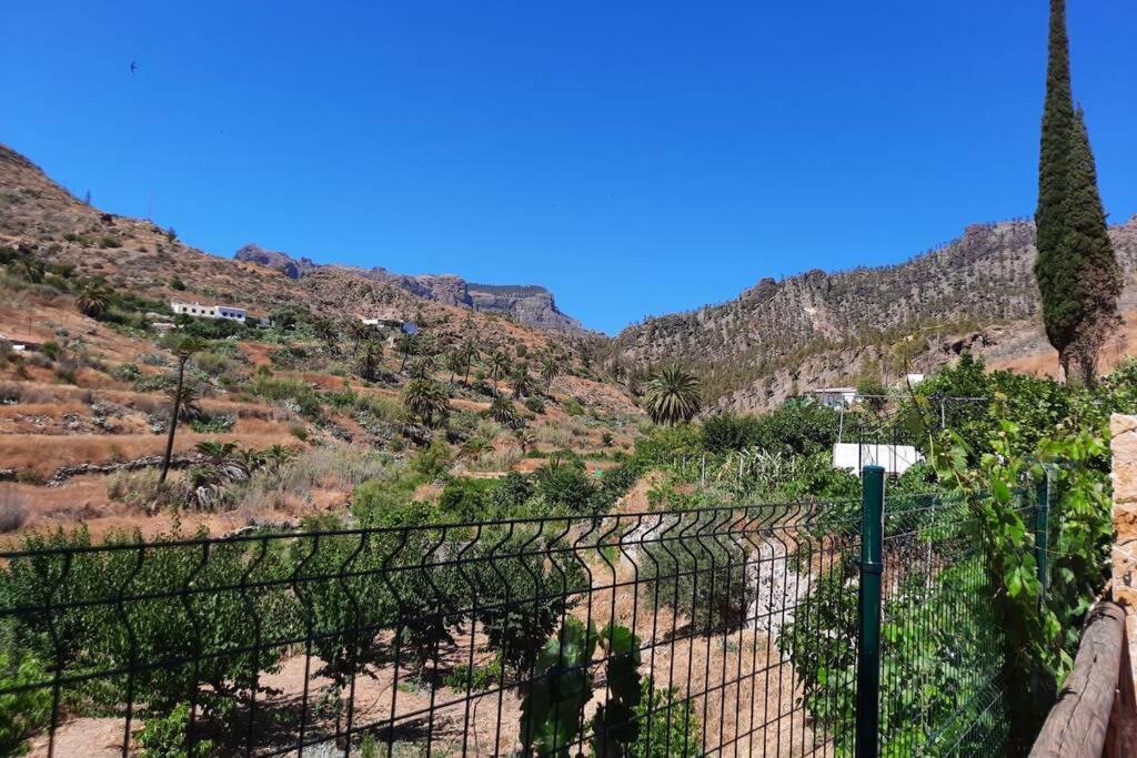 Casa Rural Los Cipreses. Cercados De Arana San Bartolome Bagian luar foto